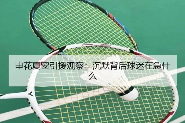 申花夏窗引援观察：沉默背后球迷在急什么